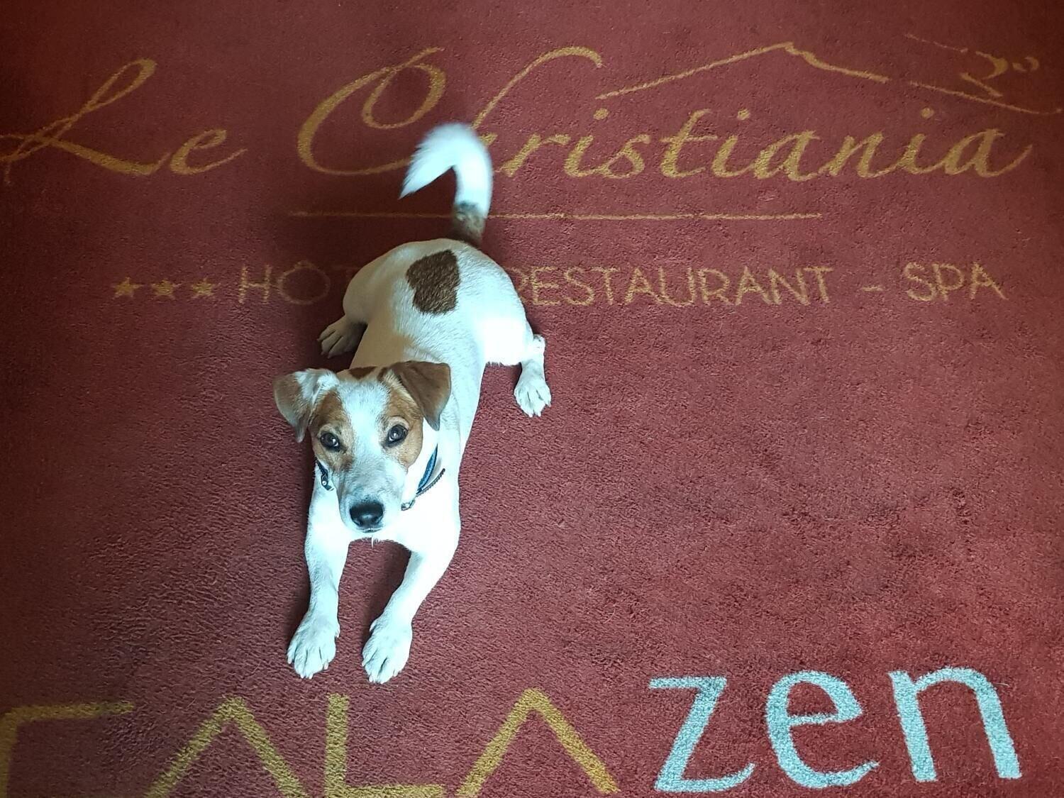 Le Christiania Hotel & Spa La Salle-les-Alpes Luaran gambar
